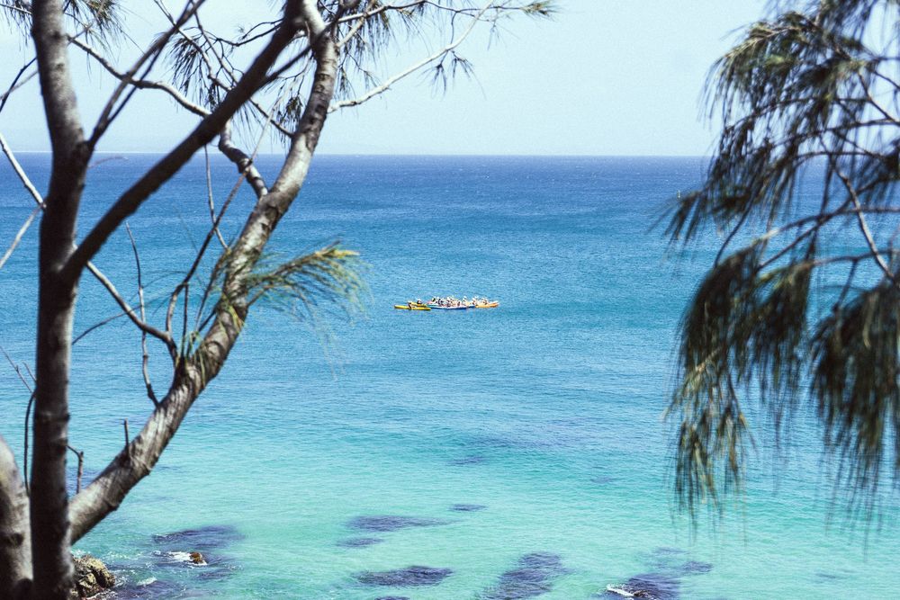Turquoise ocean waters viewed through tropical trees with a small boat visible in the distance.