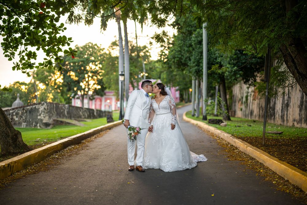 A scenic tree-lined path in a park with people walking during golden hour sunset lighting.