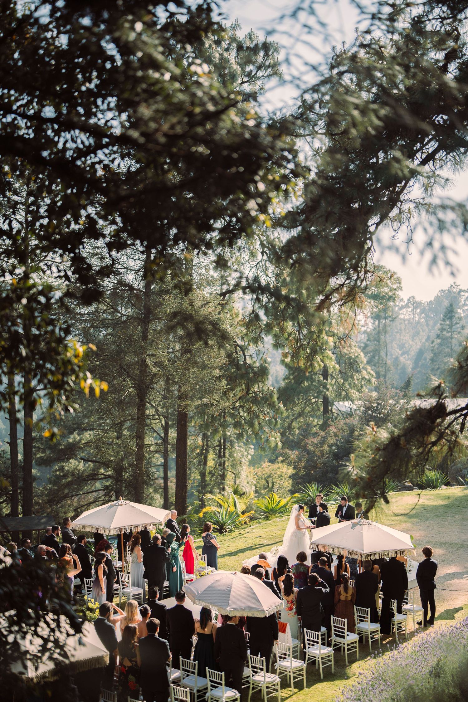An outdoor wedding ceremony takes place on a hillside with white chairs and parasols under tall evergreen trees at sunset.