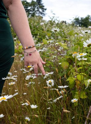 Hand trailing through daisies with bracelets on wrist.