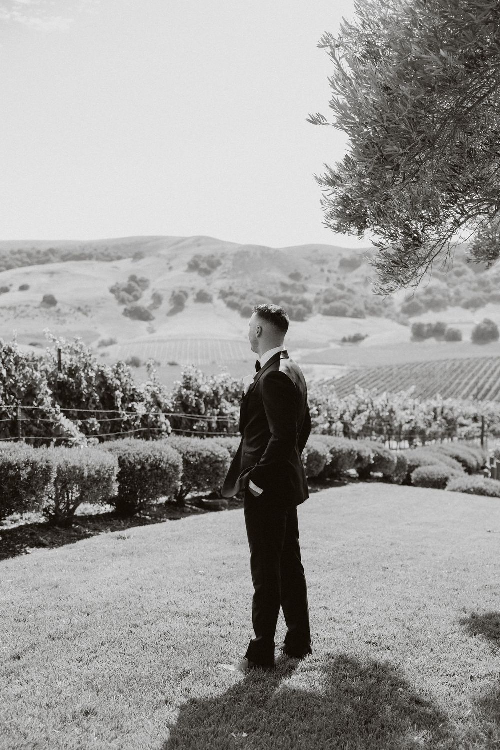 Black and white wedding photograph showing a couple standing together overlooking a scenic hillside vineyard.