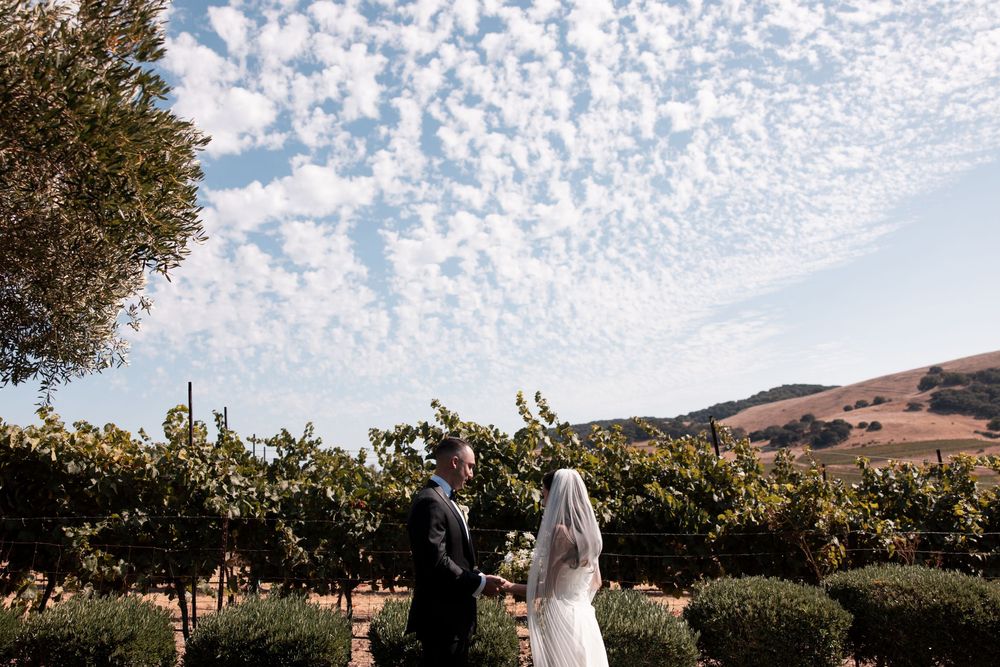 Rows of grapevines stretch across a sun-drenched vineyard with mountains visible in the distance.