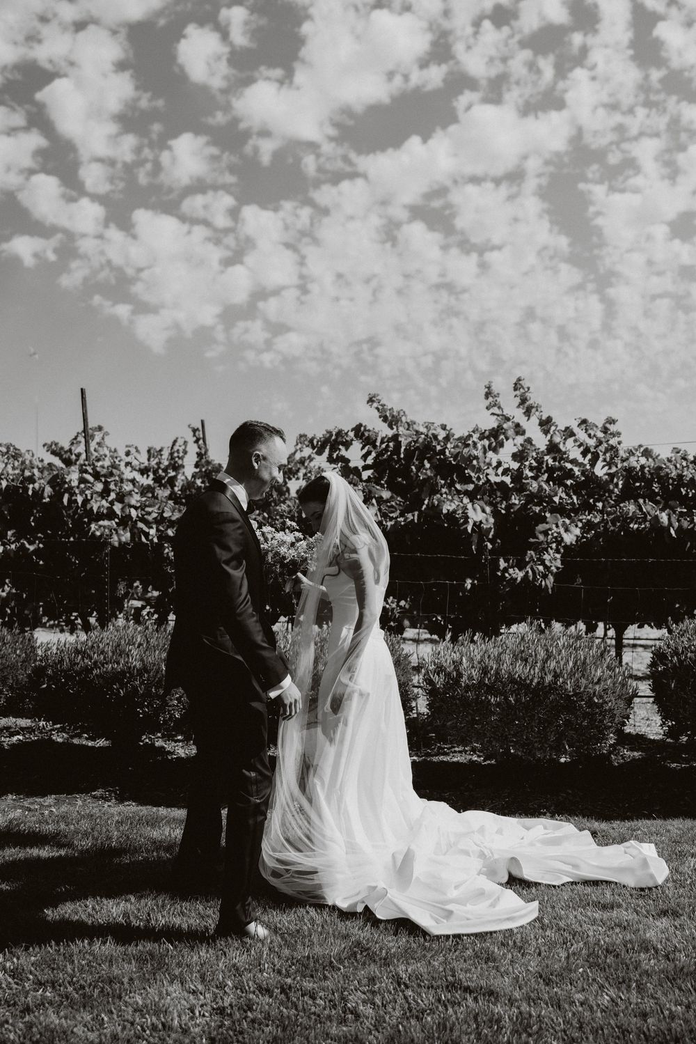 A romantic wedding photoshoot sequence in a vineyard with dramatic black and white filter.
