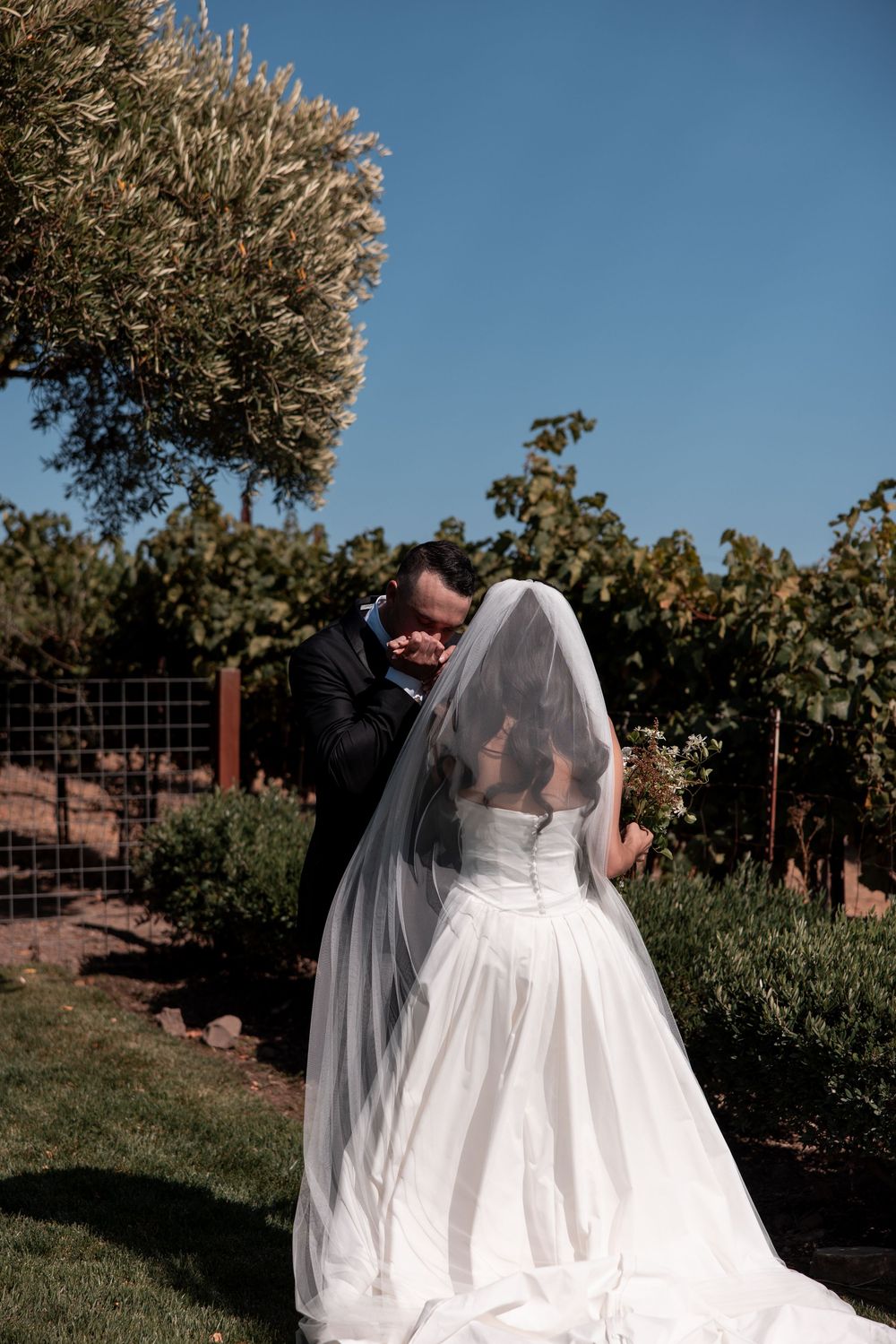 A wedding couple embraces in a scenic vineyard setting with golden sunlight filtering through the trees.