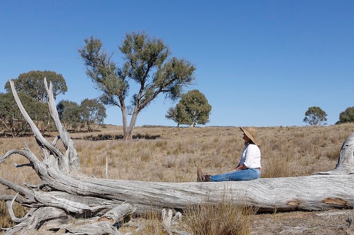 Editorial photo by Em Callaghan Photography of woman sitting on a fallen tree in a sun bleached paddock with gum trees in the background.