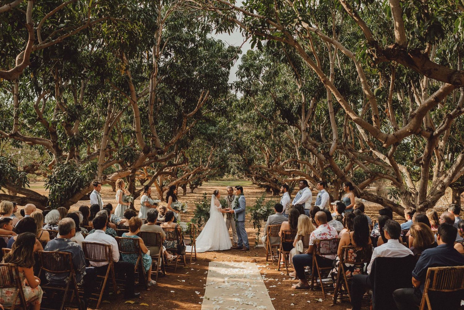 Rustic outdoor wedding ceremony setup with wooden chairs under a canopy of trees.