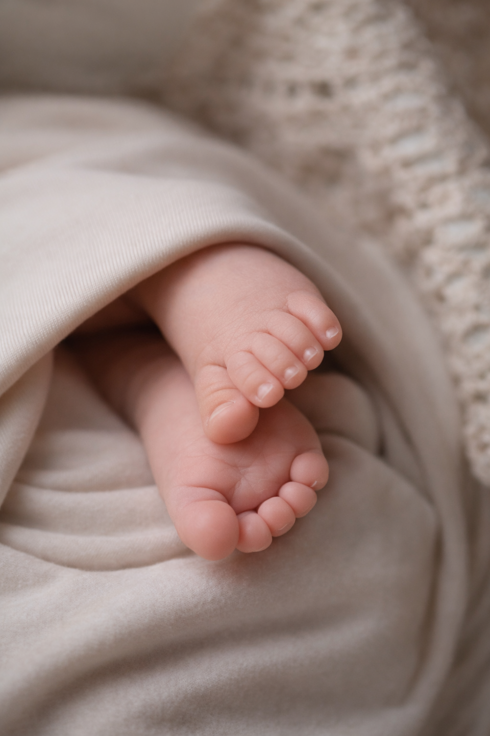 Tiny baby feet wrapped in soft white blankets showing delicate toes.
