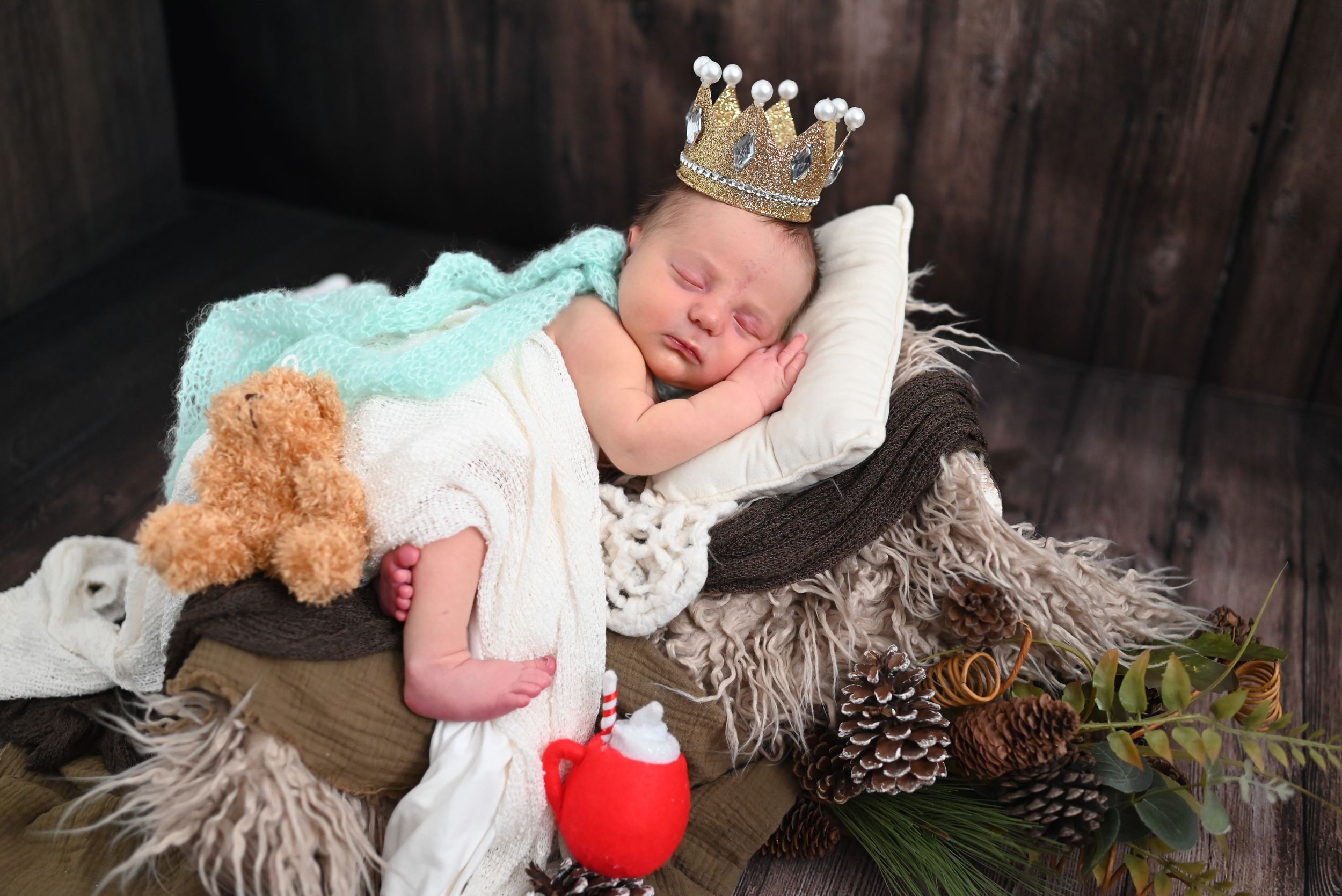 Sleeping baby in winter themed photography setup with pinecones and plush decorations.
