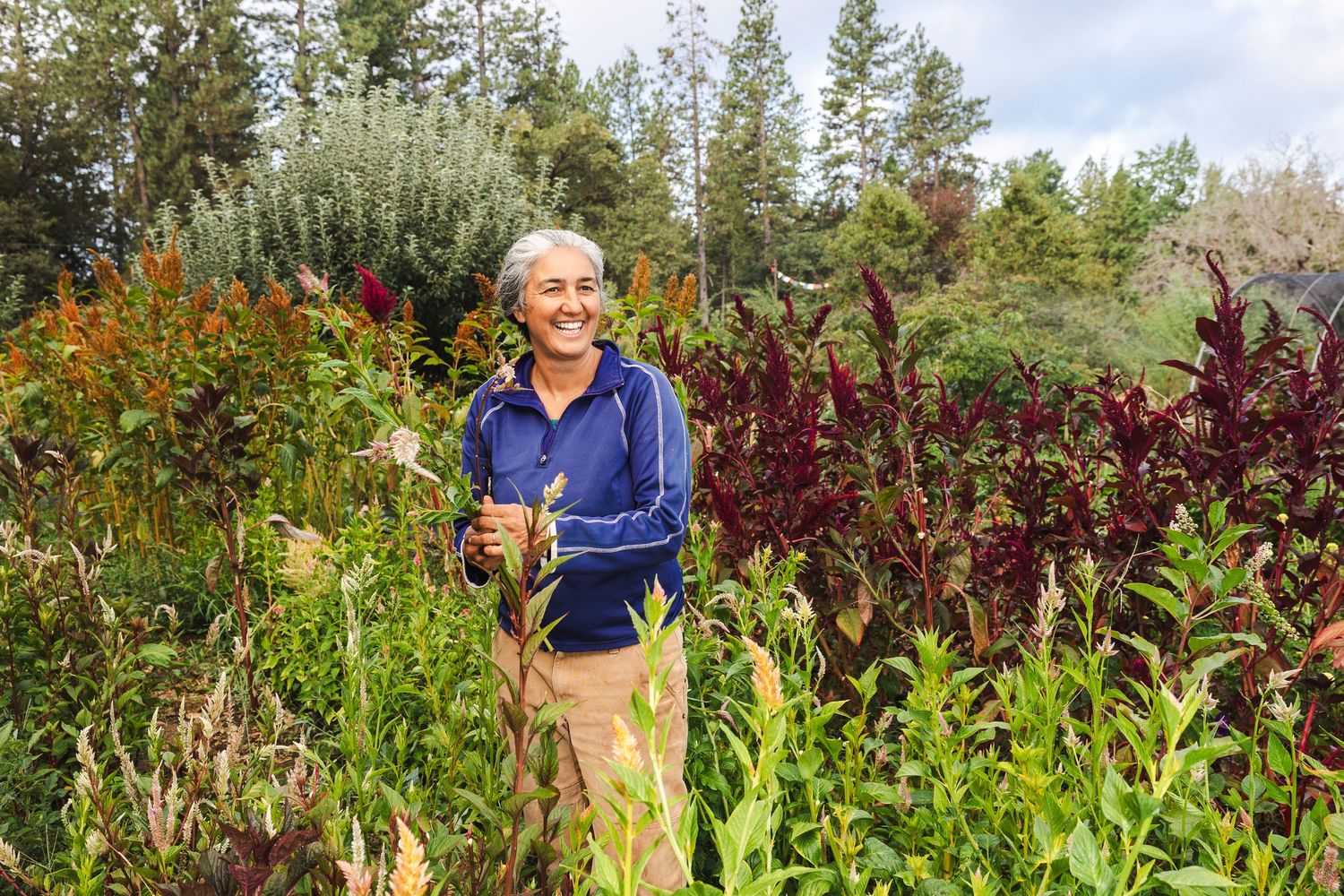 A person stands among tall corn stalks in a lush garden with evergreen trees in the background.