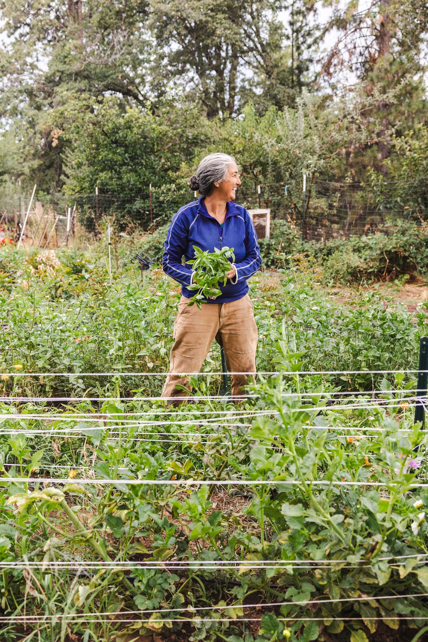Gardener tending to plants growing on vertical support lines in a lush outdoor garden setting.