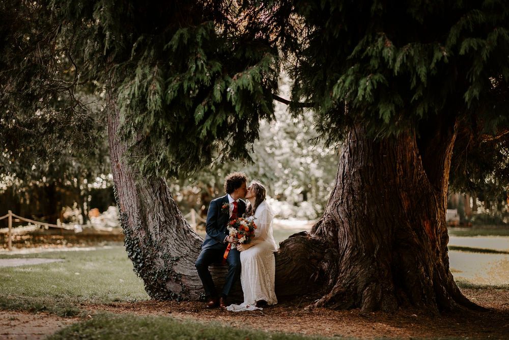 A romantic wedding couple embraces beneath towering evergreen trees in a dreamy outdoor setting.