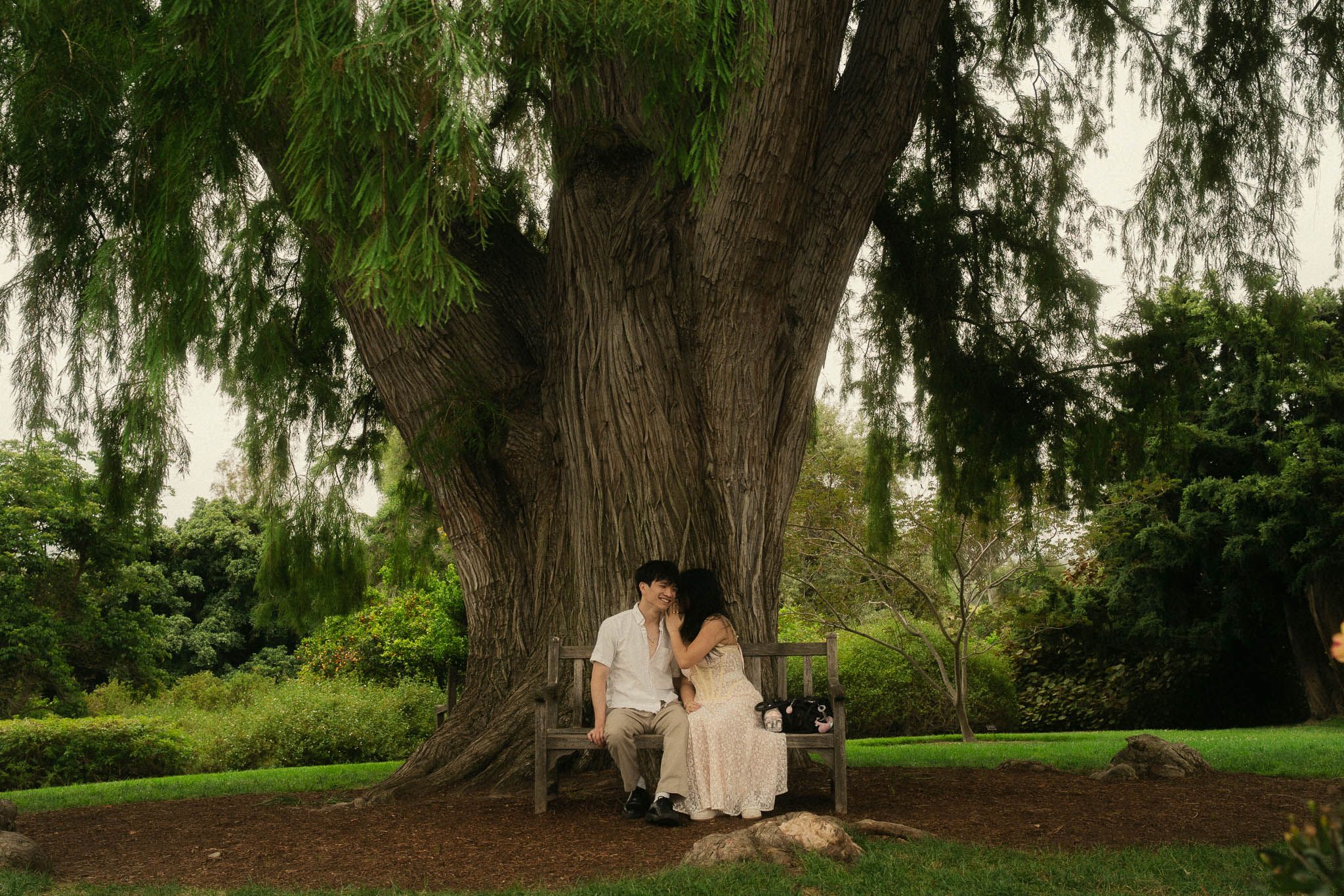 Huntington Library Engagement Photos | Couple Sitting Under the tree