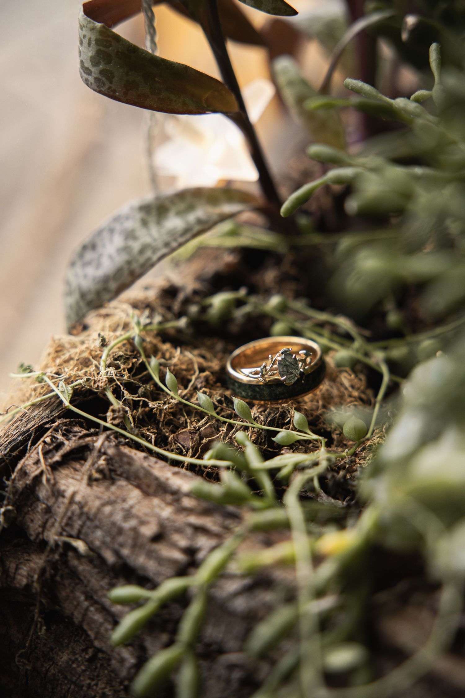 Shenandoah County Elopement