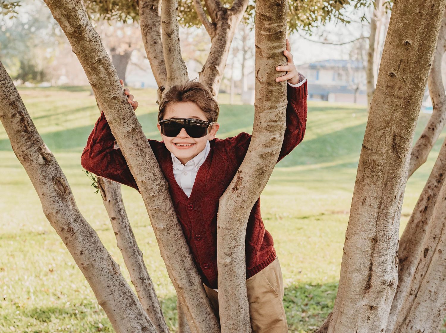 A young student in a maroon sweater and sunglasses plays between tree branches in a sunny park.