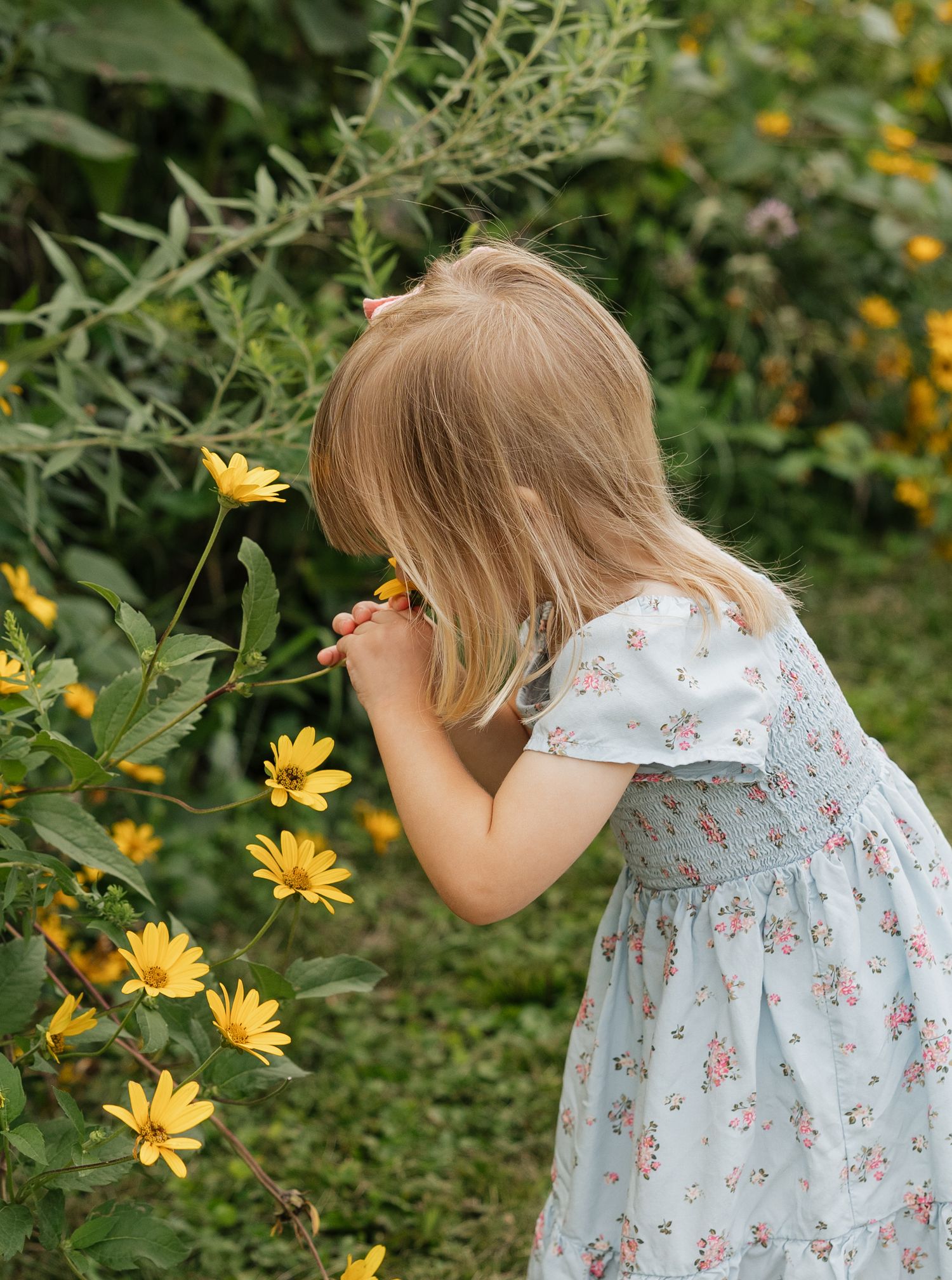 A child in a floral dress bends down to smell bright yellow daisies growing in a summer garden.