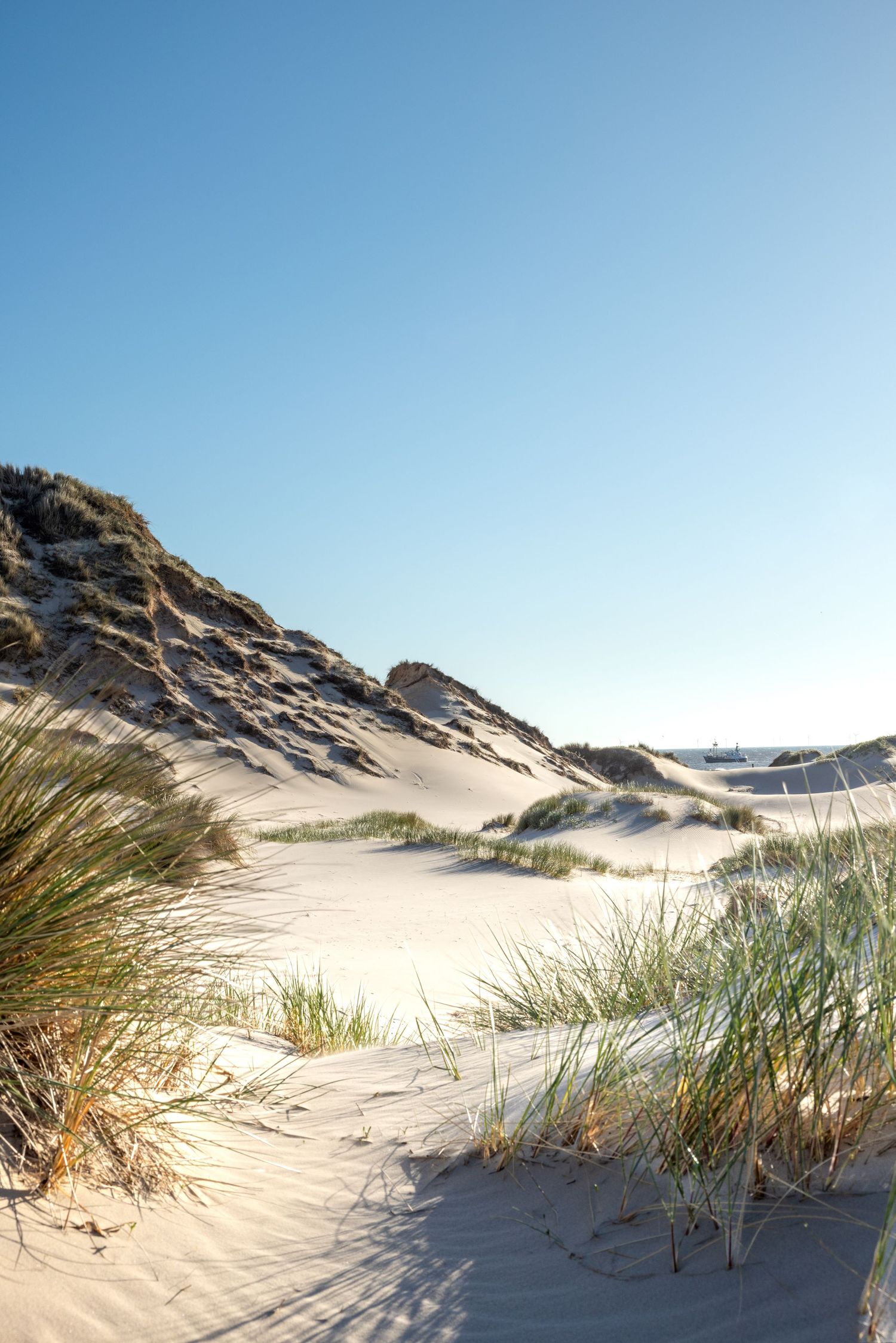 Golden hour fotoshoot in Noord-Holland. Een unieke fotolocatie, prachtige zandduinen met uitzicht op zee of de duinen in Egmond.