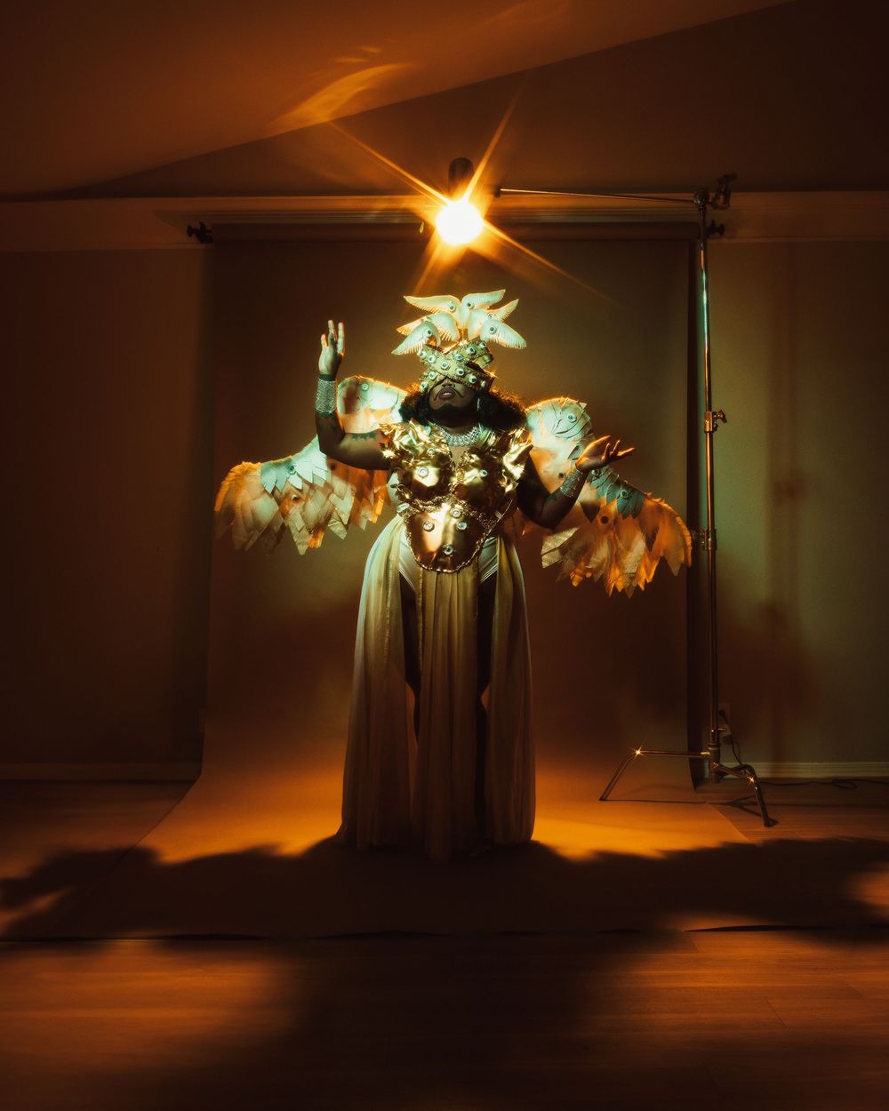 Artistic floral arrangement illuminated by warm amber lighting creates dramatic shadows on a dark background.