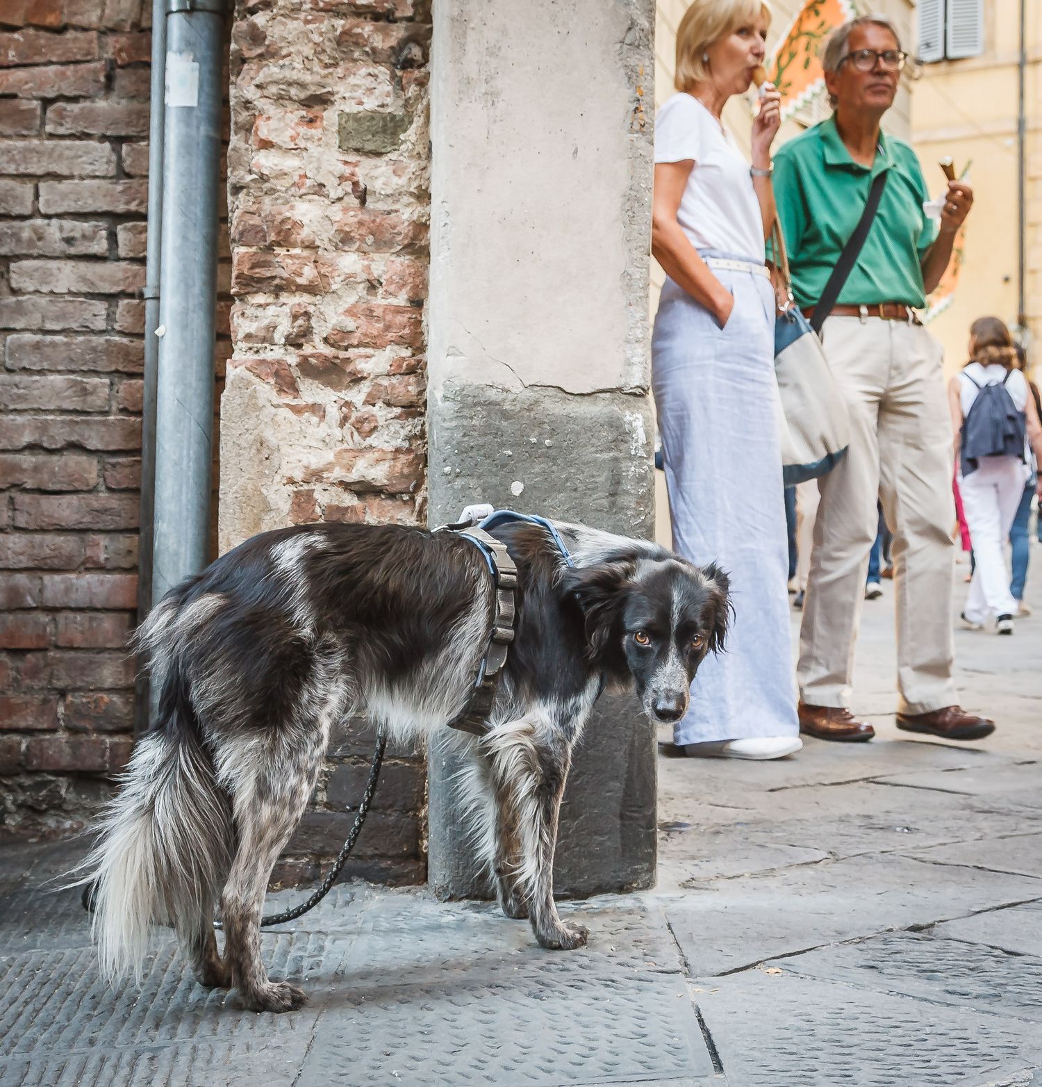 Siena, Italy, Street Photography