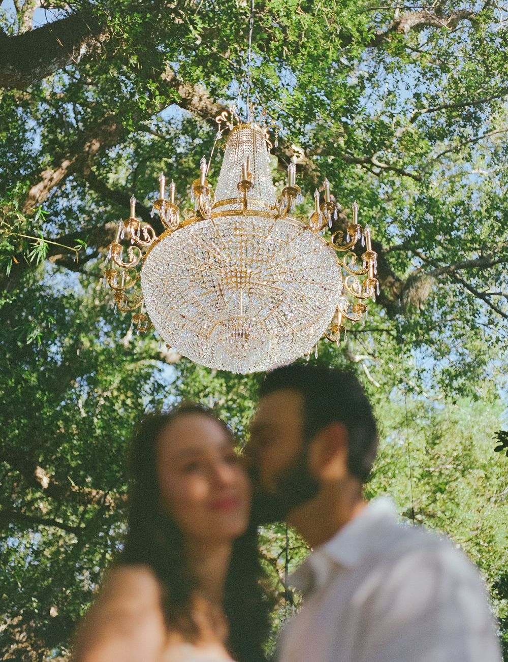 Crystal chandeliers hang elegantly among green tree branches in an outdoor wedding setting.