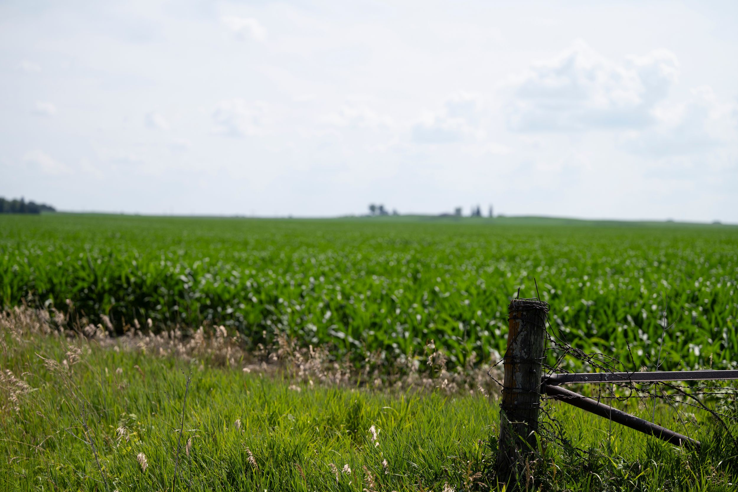 Farm Landscape