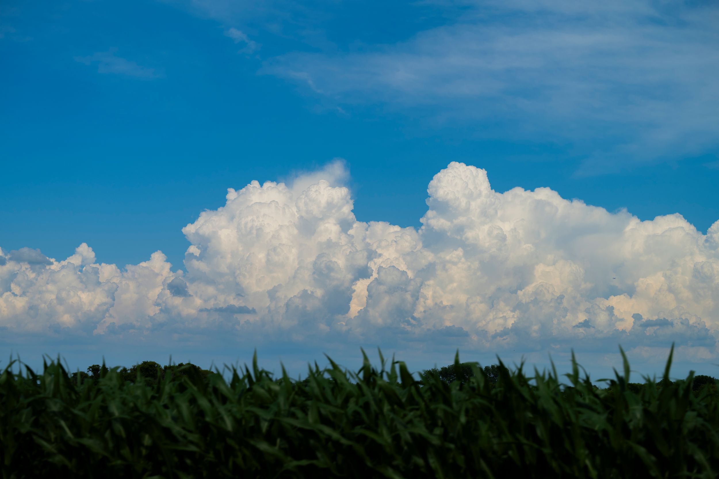 Illinois Storm Photos 2025