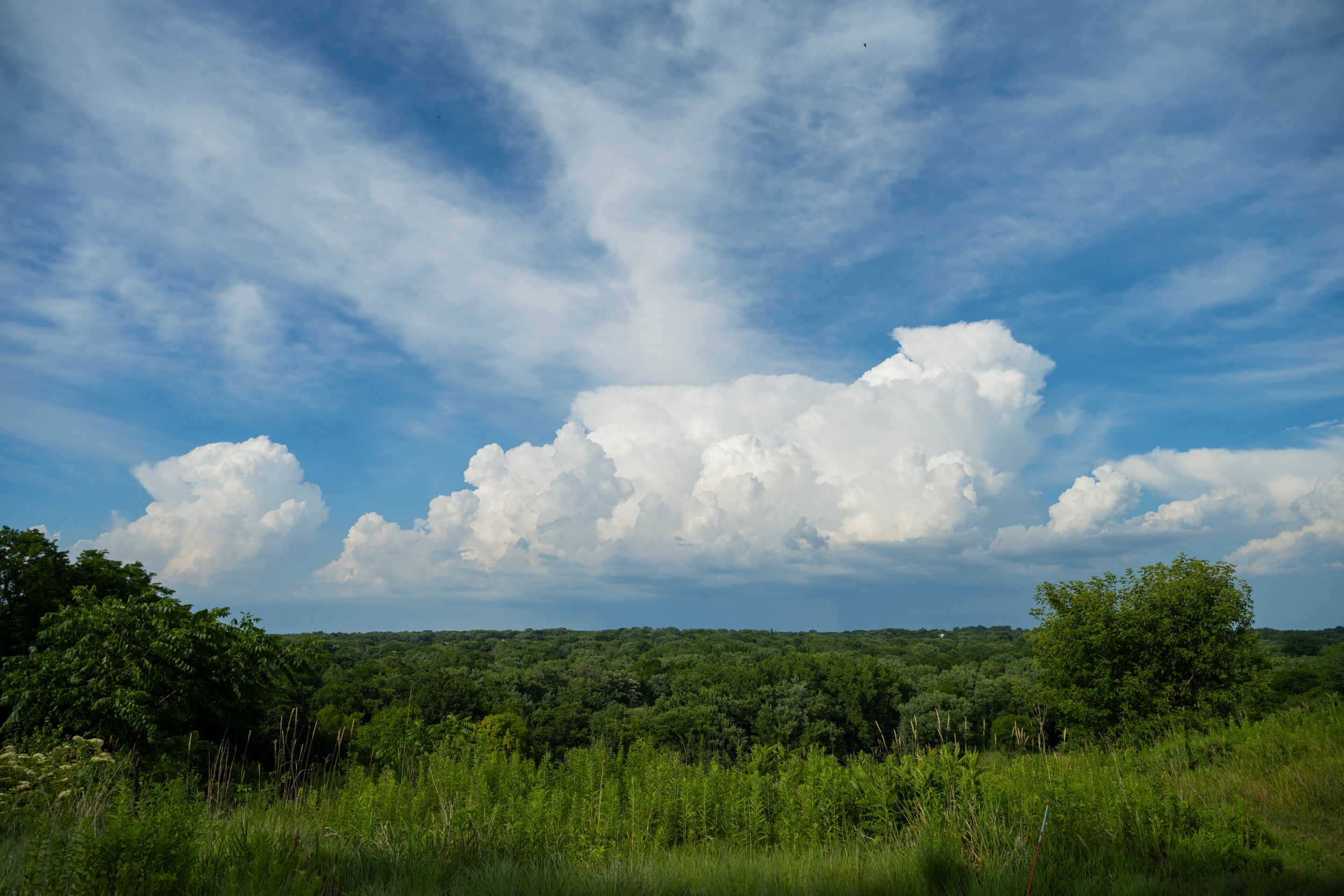 Illinois Storm Photos 2025