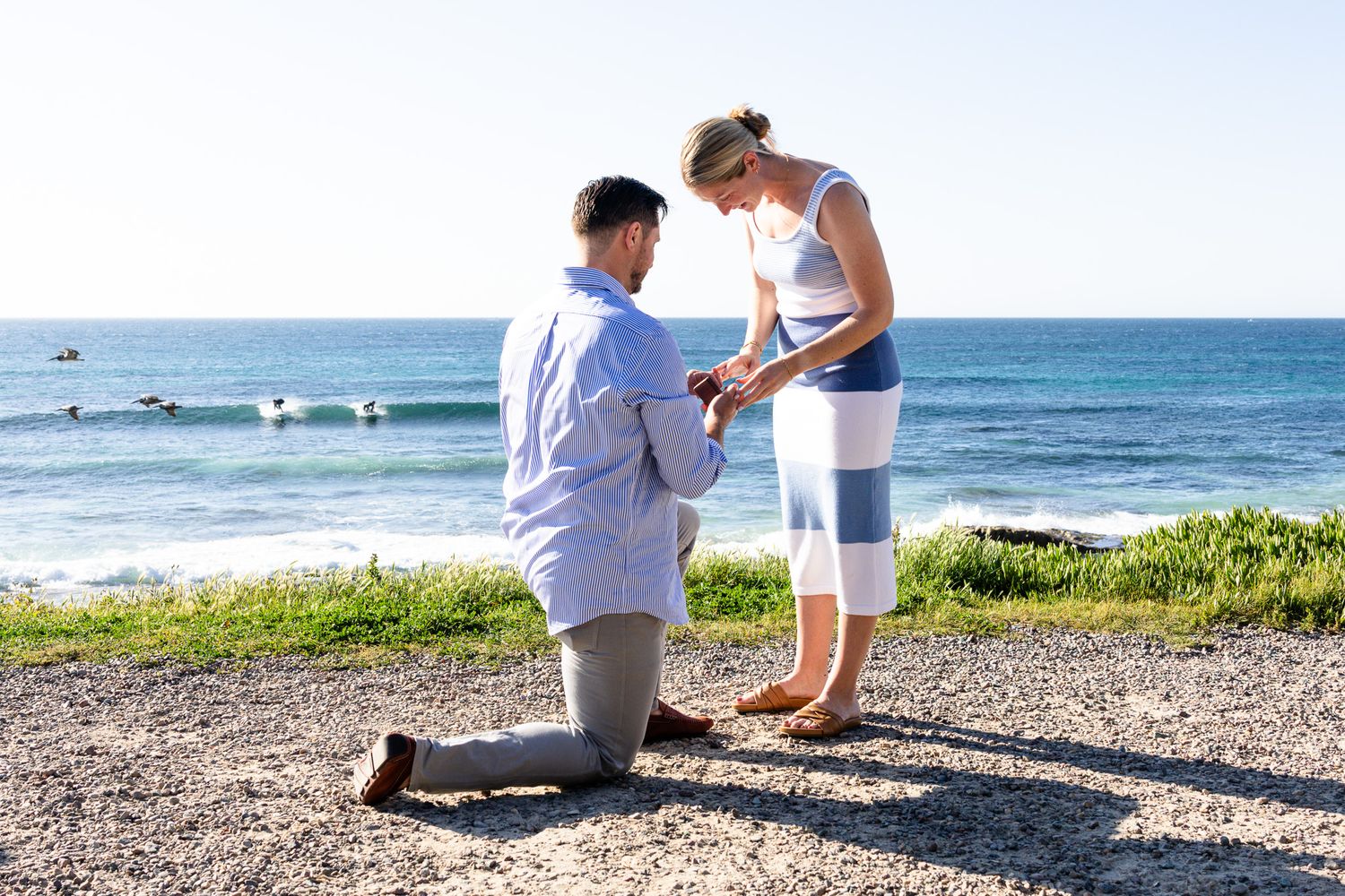 proposal on a sunny day