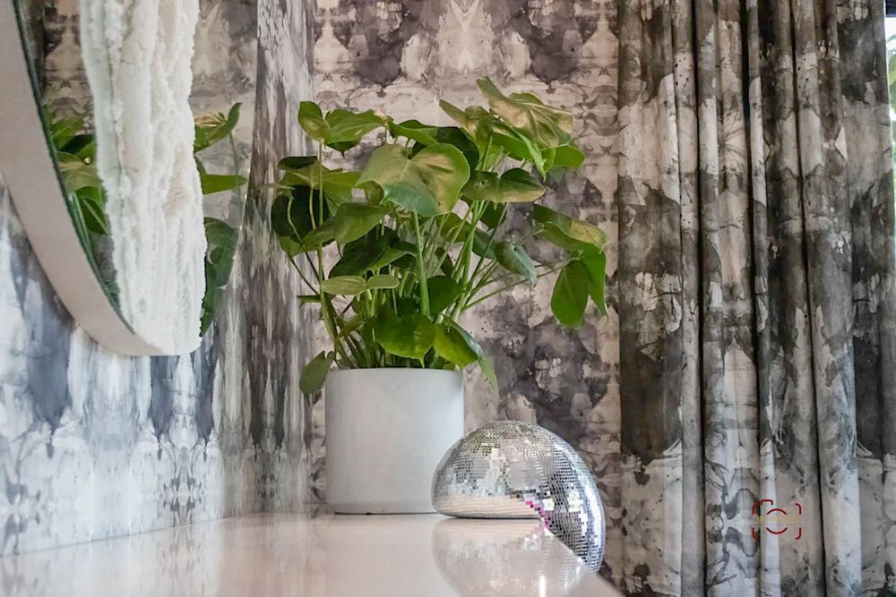 Potted houseplant and decorative silver sphere displayed on a textured surface against a distressed wall.