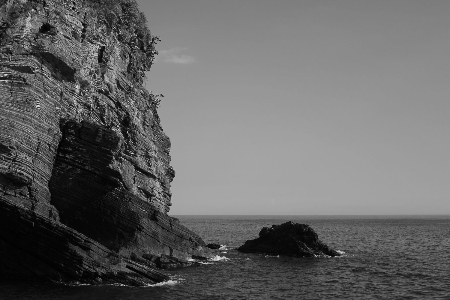 Black and white photograph of a sea cave in Laguna Beach with waves caressing the opening. The top of the cave has plants at the top.