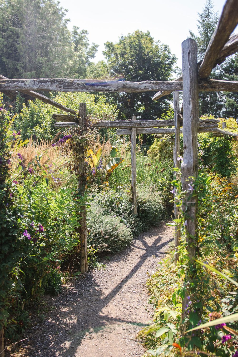 A winding garden path bordered by colorful summer flowers and rustic wooden posts leads through a sunny perennial garden.