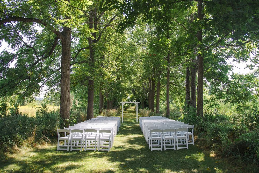 White chairs arranged in rows for an outdoor ceremony beneath tall trees in a sunlit wooded setting.