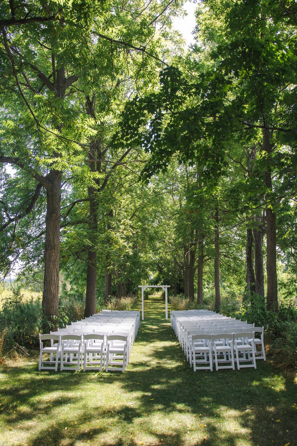 Outdoor wedding ceremony setup with white chairs arranged in rows under a canopy of tall green trees on a sunny day.