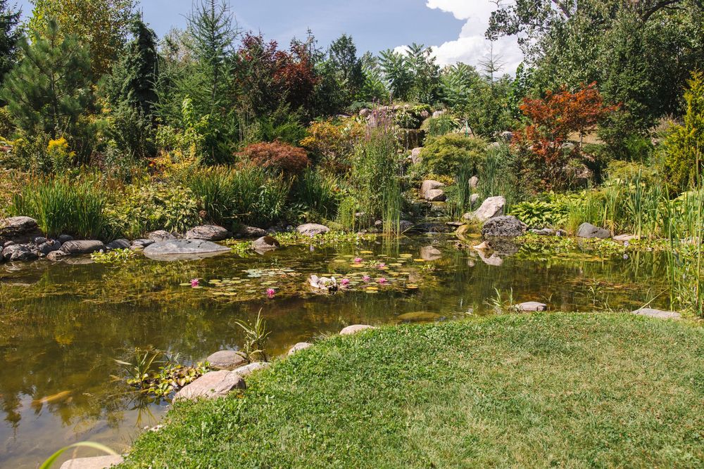 A tranquil garden pond surrounded by lush landscaping, colorful flowers, rocks and manicured grass under blue skies.