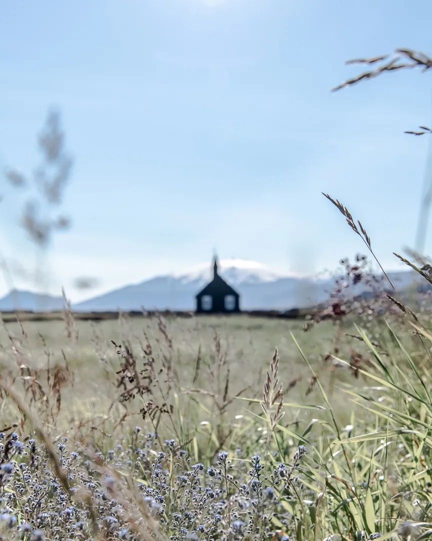 Person walking through tall wild grass with mountains in the distance.