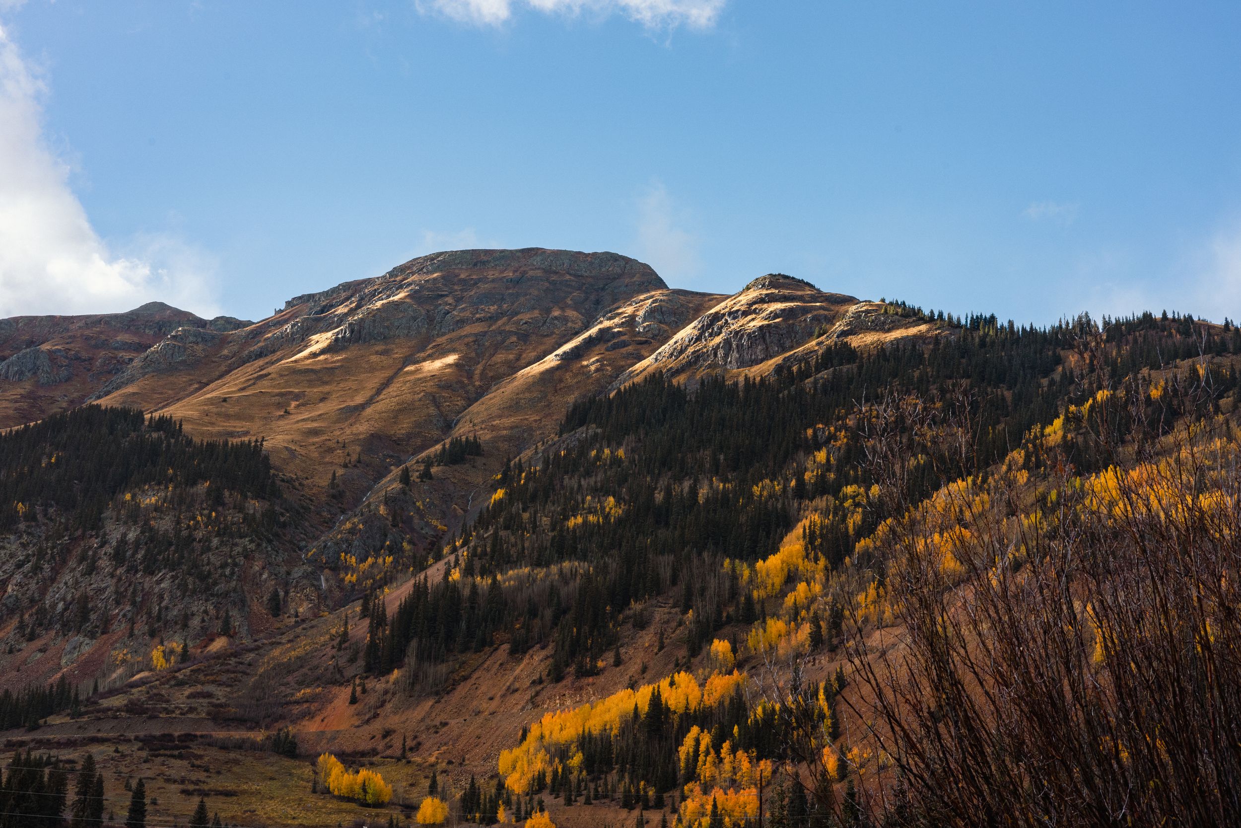 A panoramic mountain landscape with golden aspen trees and evergreens against rugged peaks under a blue autumn sky.