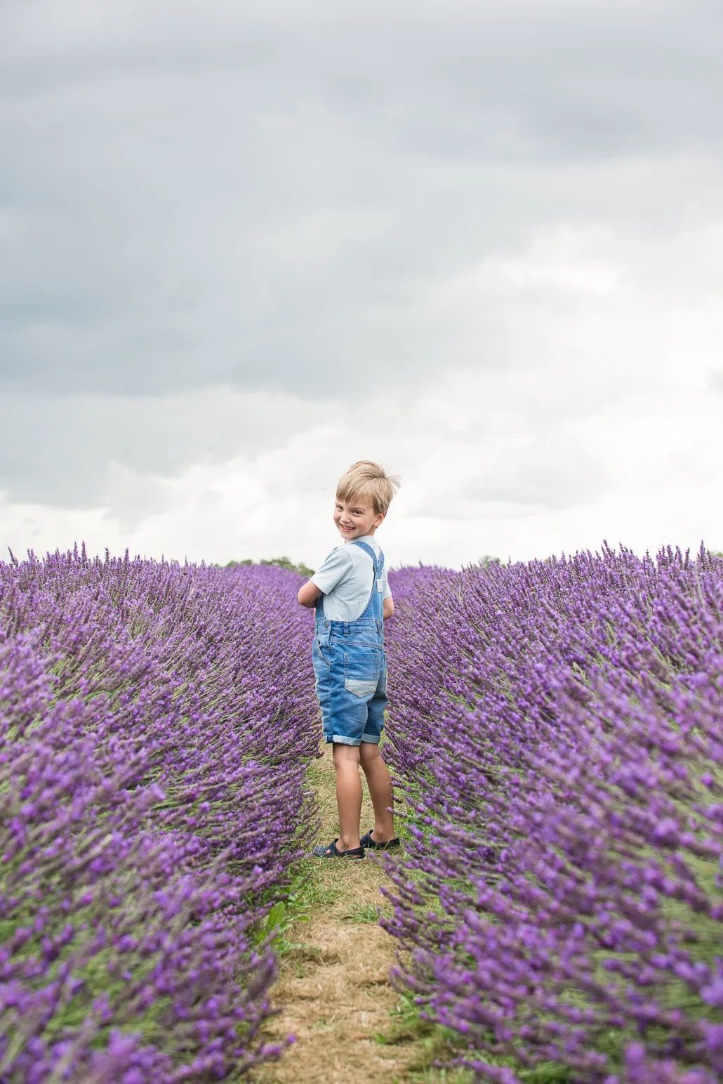 Young child standing on a path through a lavender field under a cloudy sky.