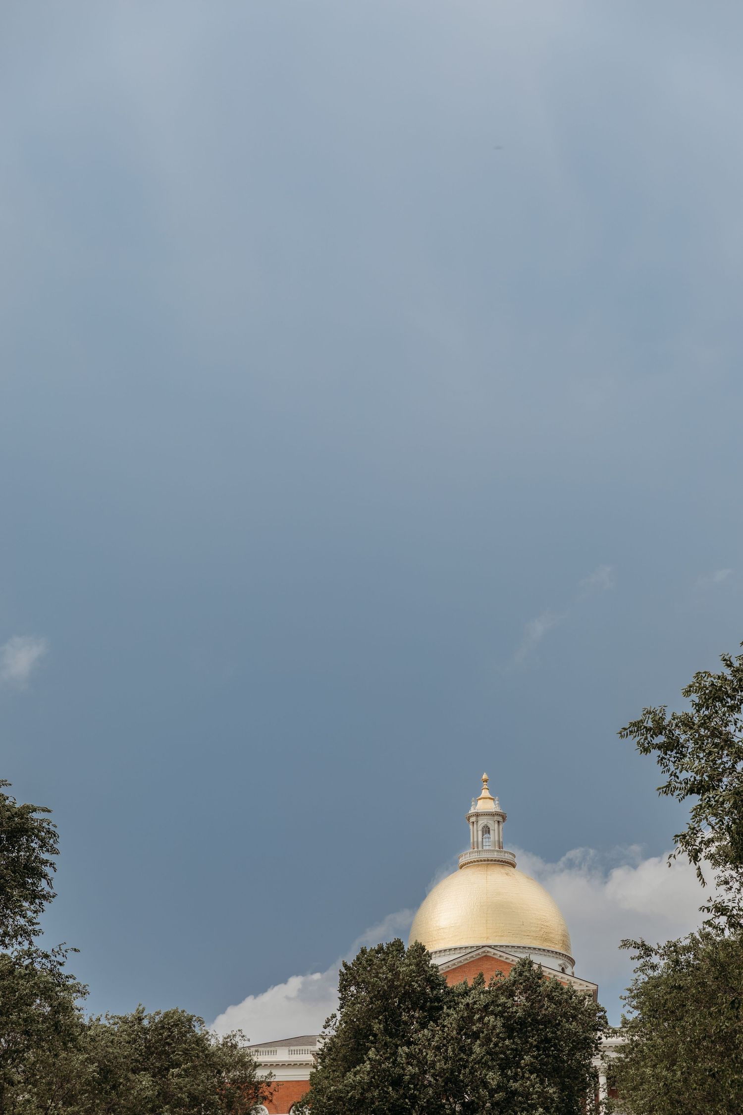Golden dome of the Massachusetts State House rises above green trees against a blue sky in Boston.