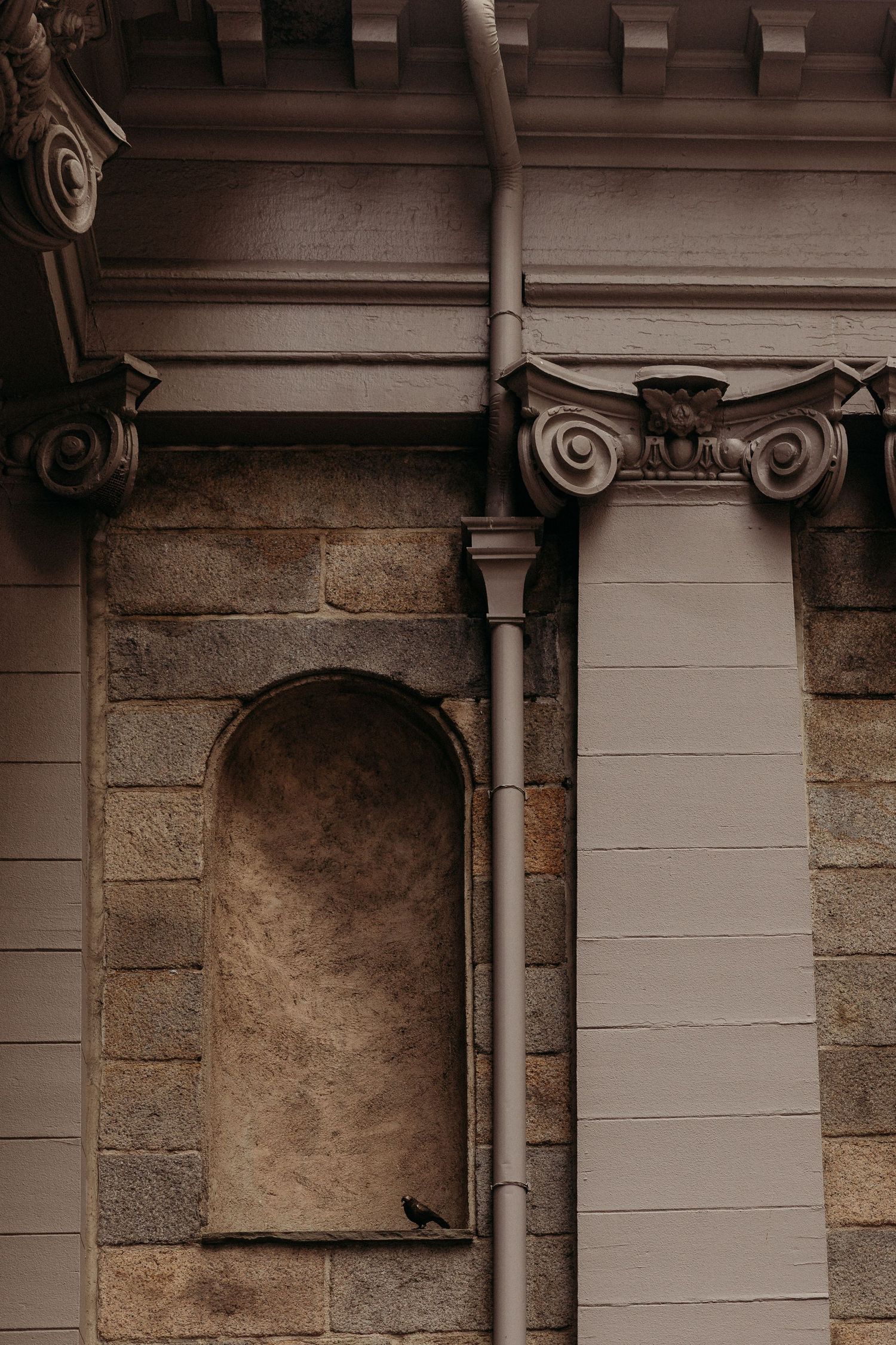 Close-up view of classical stone columns and architectural details on a historic building facade.