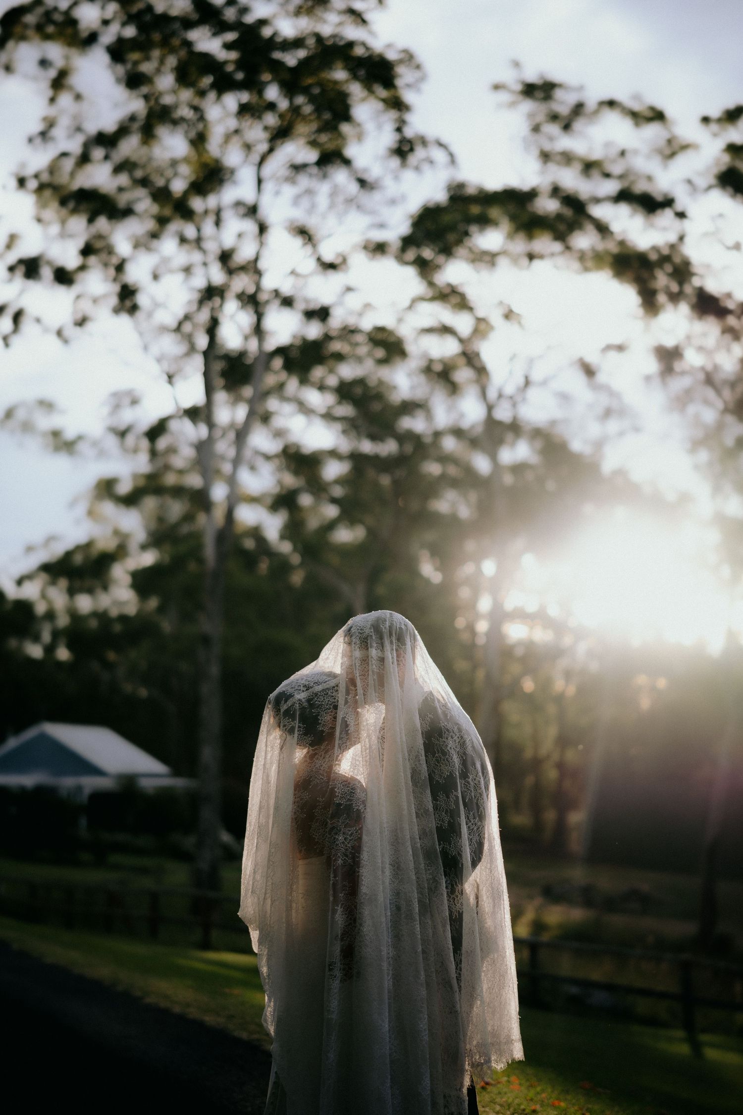 Bride and groom sharing a kiss under a flowing white veil at golden hour in a lush garden setting.