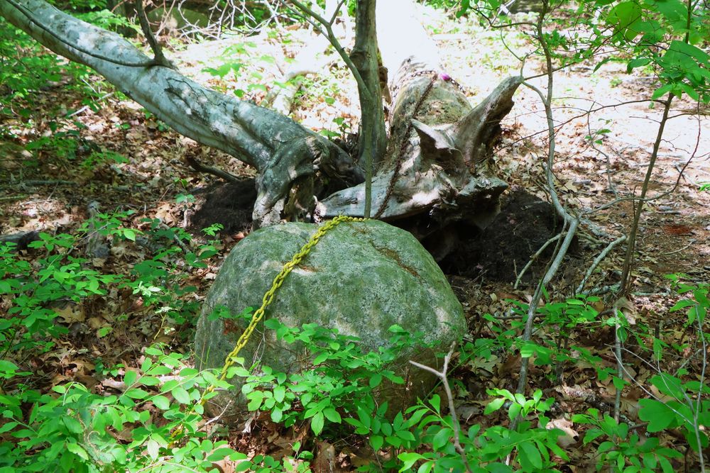 Full color photo of a rock chain down in the middle of a wooded area