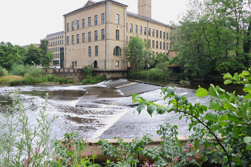 Full color photo with a large factory type building in the background and a rapidly flowing stream and trees and leaves in the foreground.