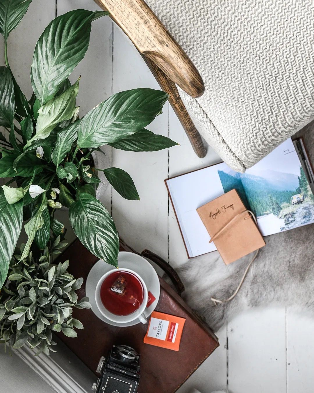 Flat lay of travel books, glasses, and a coffee cup next to lush indoor plants.