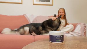 Child cuddling dog on pink couch with dog supplement in foreground, highlighting natural pet wellness at home, product photo in Europe Spain
