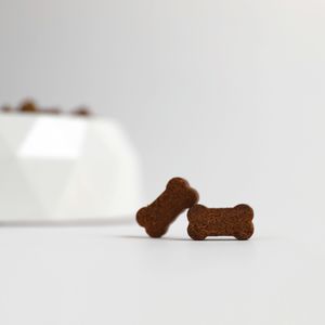 Dos premios para perro en forma de hueso sobre superficie blanca, con bol geométrico al fondo fotografía de producto para perros, España
