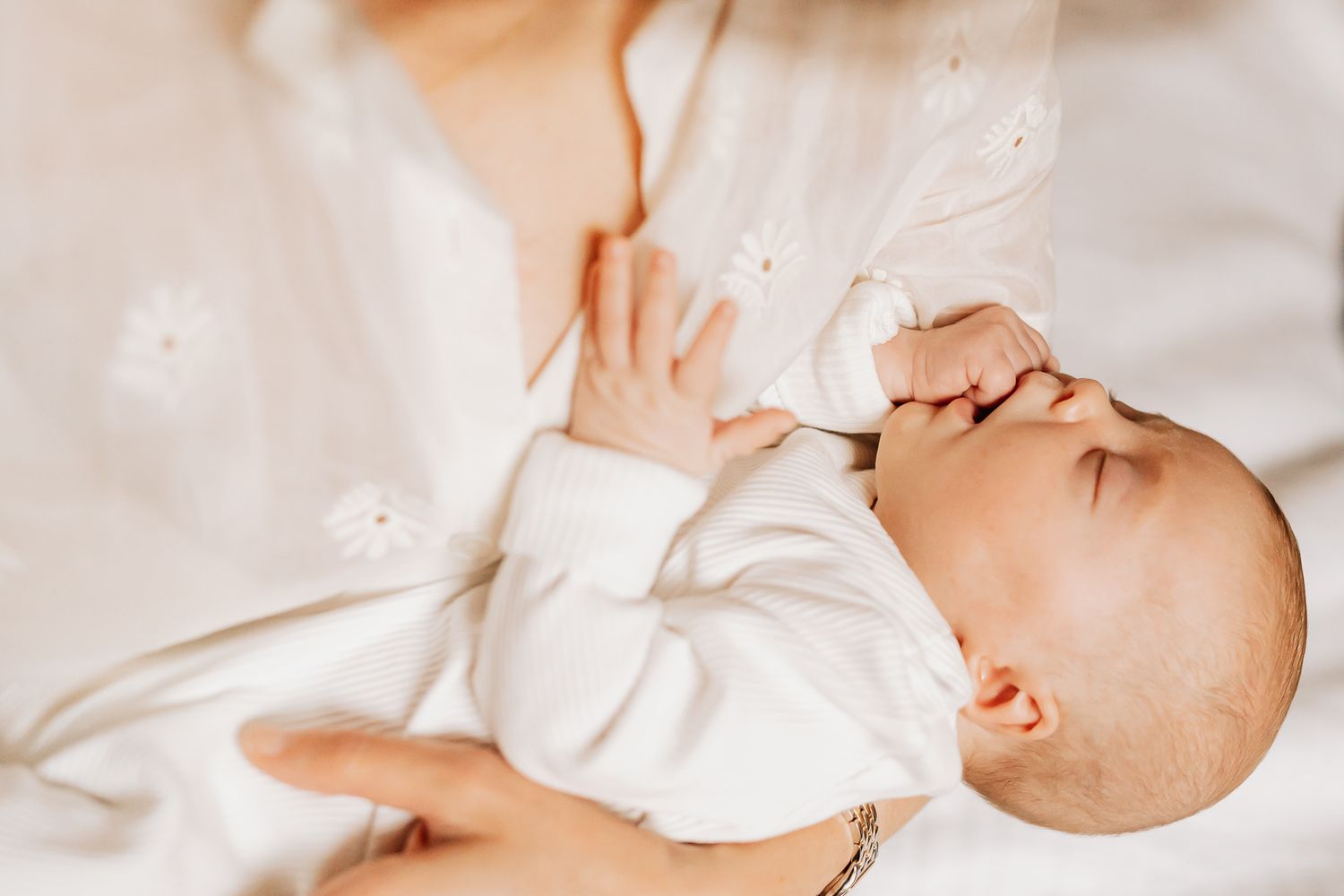 Sleeping newborn baby portrait during an indoor newborn photography session in Perth with soft warm light