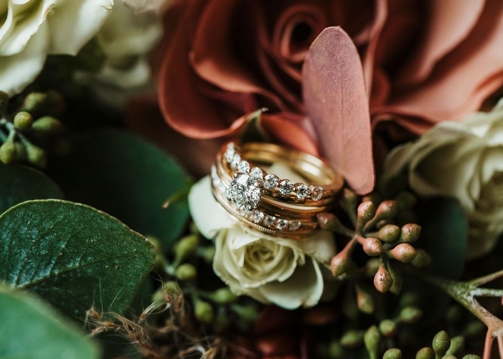 Macro shot of wedding rings nestled among pink and white roses with green foliage.