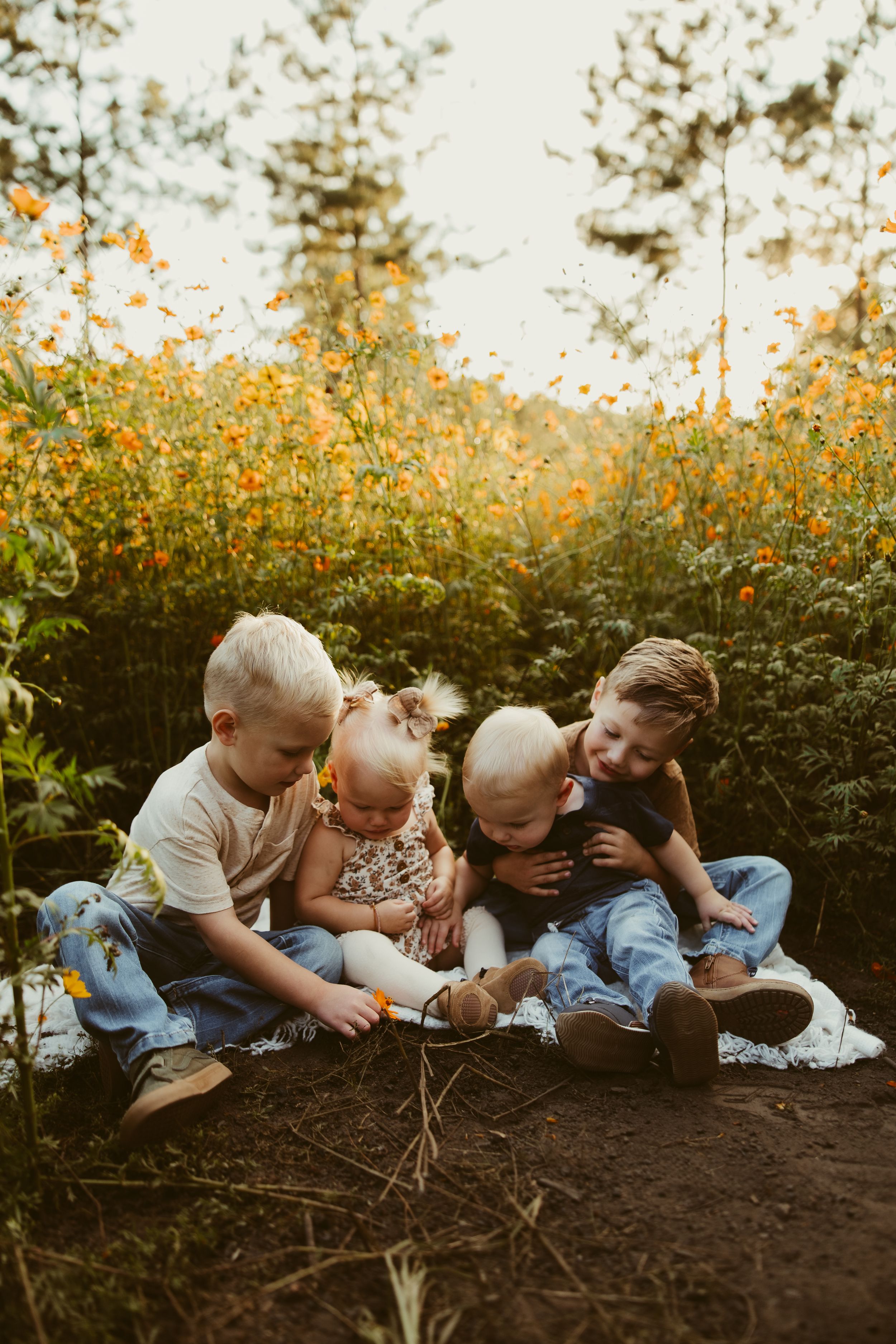 Four young siblings sitting together in a wildflower field filled with orange blooms at golden hour.