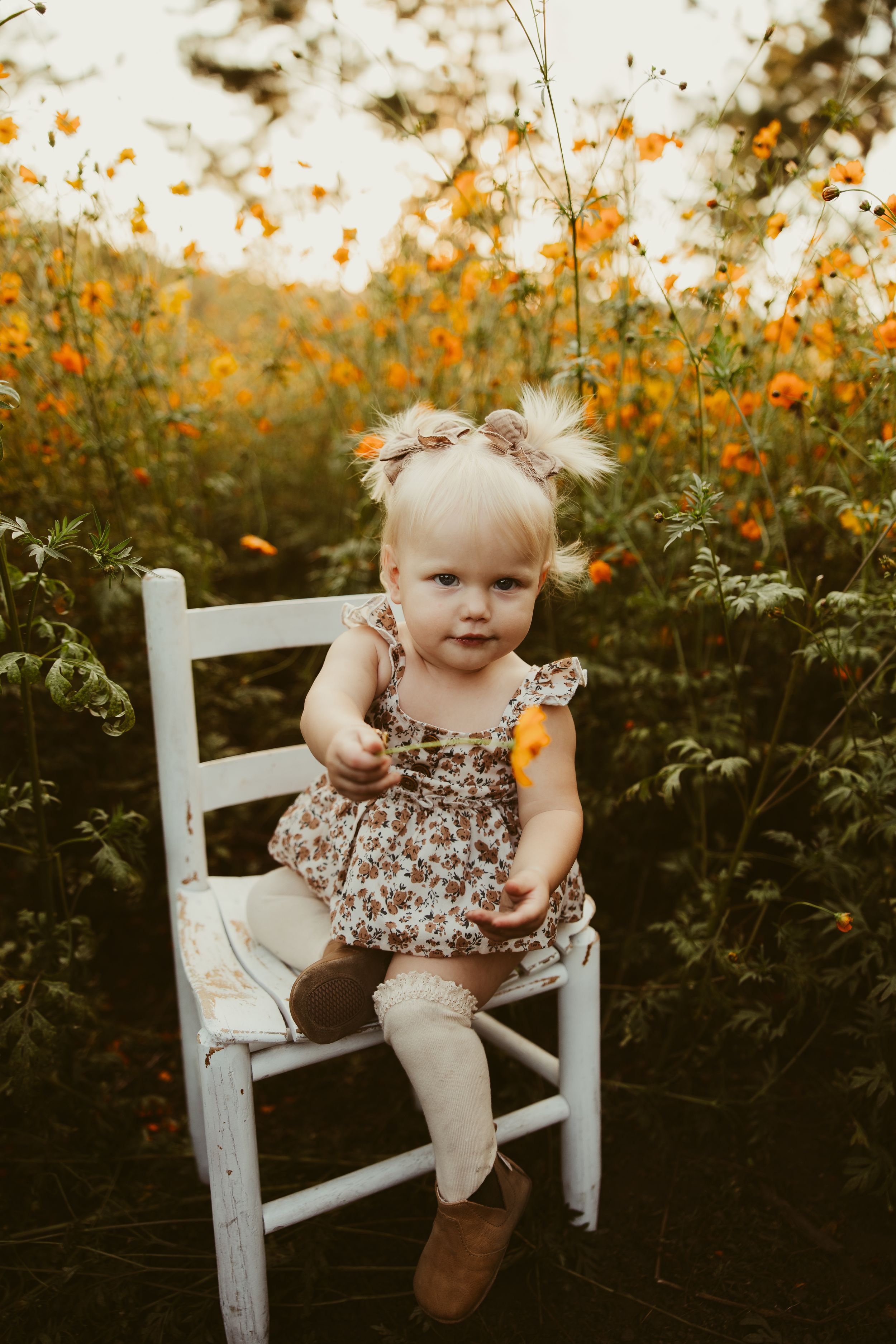 Sweet toddler girl in floral dress sitting on white chair in orange wildflower field.