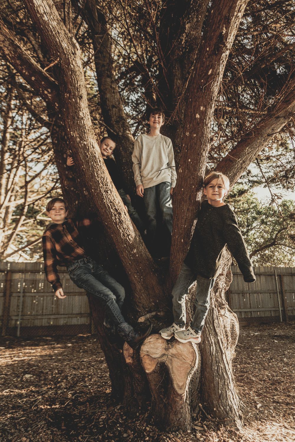 Youth gathered in a large tree trunk creating a playful outdoor portrait.