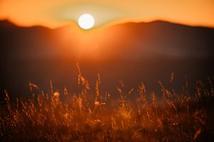 Landschap van de Monte Subasio waar de zon goud licht over het gras schijnt.